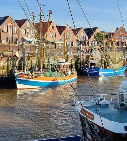 Plüschmors * Wittmund
