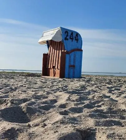 Plüschmors * Wittmund