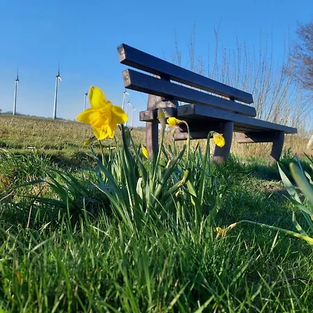 Plueschmors * Wittmund