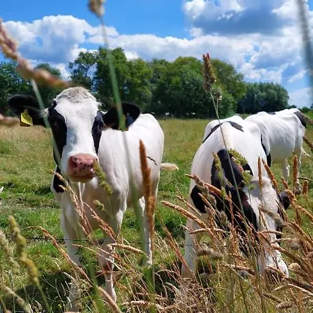 Plueschmors Wittmund