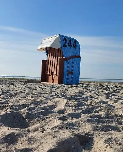 Plüschmors * Wittmund