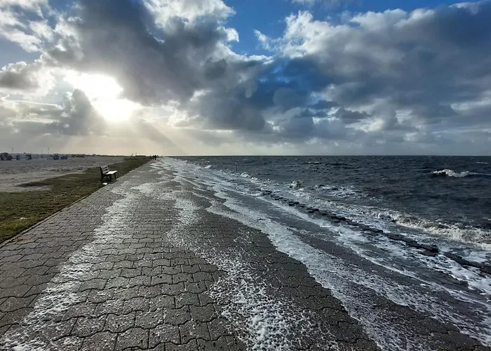 Plüschmors Apartamento